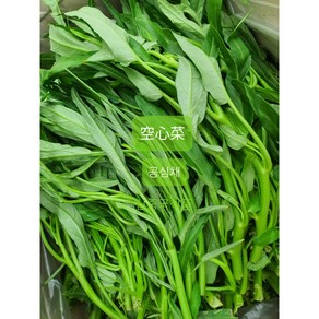[신중국식품] 싱싱공심채 쿵신차이 야채, 500g, 1개