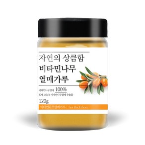 푸른빈 비타민나무열매 가루 분말 씨벅톤 산자나무, 120g, 1개