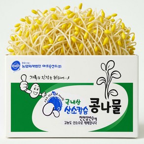 [ 평점 4.8이상 무농약 인증] 생산 콩나물 국산콩 산소 콩나물, 3kg, 1박스