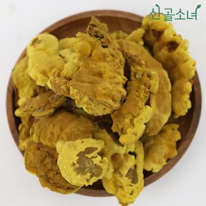 산골소녀 국내산 상황버섯, 600g, 1개