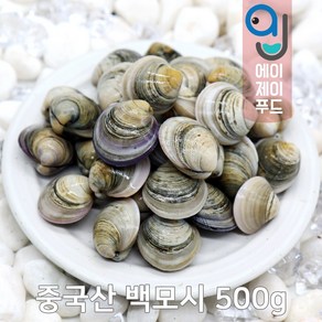 살아있는 자연산 모시조개 500g 1kg (백모시 흑모시 가무락 봉골레파스타 조개탕 조개육수), 선택01. 백모시(중국) 500g, 1개