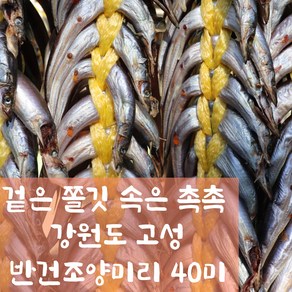 해나루덕장 동해안 강원도 국산 반건조양미리, 1개, 40마리