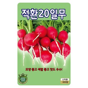 열무 배추 무 씨앗 모음 종자, 1개