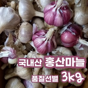 2023 남해 홍산마늘 햇 마늘 3kg 국내산 홍산 마늘 장아찌 통마늘 신품종 신종품 저장용 김장 식용 식당 마늘쫑 상등급, 3kg (소), 1개