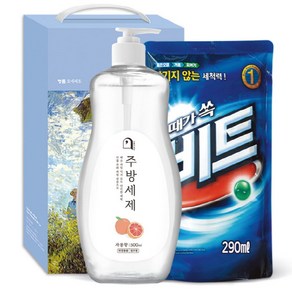 오늘의쉼표 세제 선물세트 답례품 자몽 37호 (주방세제 펌프 + 액체비트 290ml), 1개