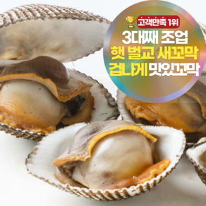 [겁나게맛있꼬막] 삼시세끼연구소 쫄깃함 폭발하는 햇 벌교 꼬막 새꼬막, 10kg(상) 내외, 1개