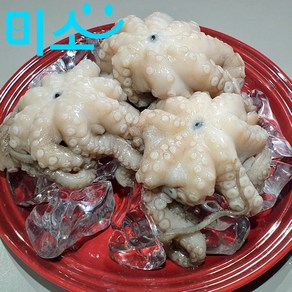 미소 꼬마 문어 손질 진공포장 500g(3-4미), 1개