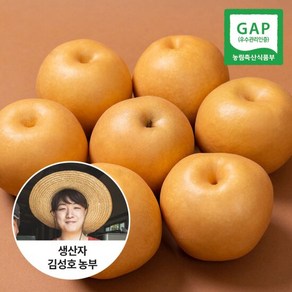 [신선연구소]GAP인증 24년 나주 햇배 가정용 5kg 6-10과, 1박스