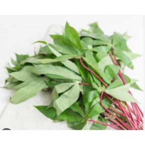 Daun Singkong( Cassaba 잎) 1kg, 1개, .