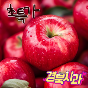 [산지 직송] 초특가 사과 경북 부사 사과 가정용 사과 못난이 사과 달달한 사과 소과 사과 작은 사과, 1박스, 가정용 부사 사과 소과 1kg