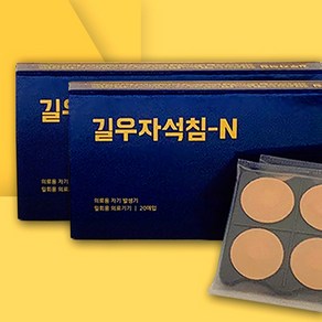 길우 자석침 (자석침 보급형 N 20개 자석침 일반형 S 40개 금도금 자석침 G 40개), 자석침N, 1박스