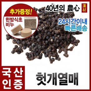 자애인 국산 자연산 헛개열매 1200g 헛개차 열매