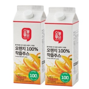 오늘좋은 물 한방울 섞지 않고 오렌지 그대로 만든 착즙주스 1.75L, 2개