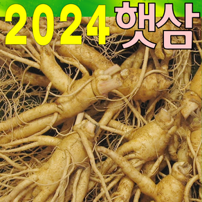 금산인삼아줌마 인삼 (2호)6년난발삼 500g 산지에서 발송 가정용 수삼, 6년난발삼(2호) 500g, 1개