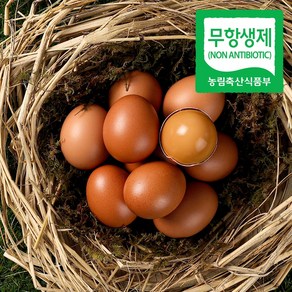 무항생제 초란 대란구운계란 HACCP 맥반석 30구 부활절계란 청라상회계란