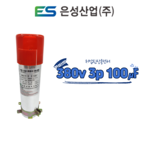 은성산업 저압진상콘덴서 380v 3상 100마이크로페럿, 1개