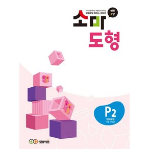 소마연구소 소마 도형 P2, 1개