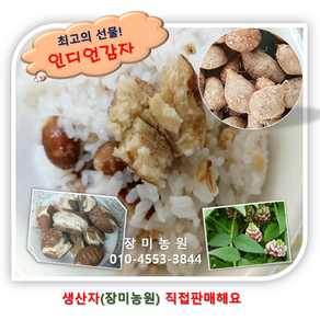 인디언감자(아피오스) 3kg/5kg/10kg 생산자 직판, 3kg, 1개