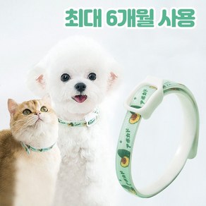 반려사이 강아지 진드기 퇴치제 목걸이 6개월 지속 고양이, S (8kg 까지 착용 가능), 1개