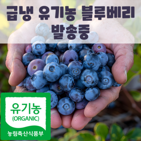 국내산 친환경 블루베리, 1박스, 1kg(상)