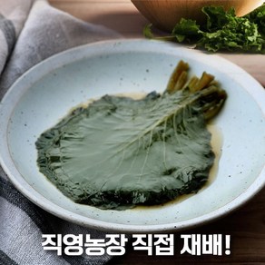 명인가 업소용 케일 장아찌 10kg 동북 케일 장아찌 대용량반찬, 1개