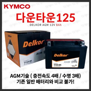 다운타운125 배터리 YTX9-BS 8Ah, 1개