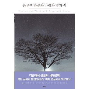 하늘과 바람과 별과 시(큰글씨):