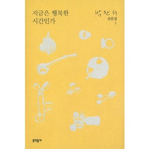 지금은 행복한 시간인가, 문학동네, 박완서