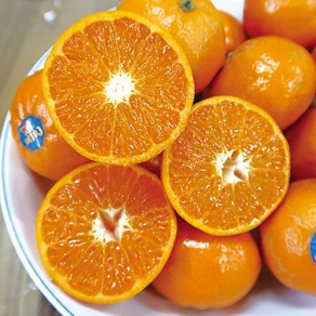 [가격인하] 새콤달콤 프리미엄 고당도 만다린 1kg 3kg 5kg, 미국산 귤 만다린 1kg 20과내외, 20개