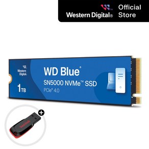 WD SSD M.2 NVMe BLUE SN5000 PCle 4.0 5150MB/s 컴퓨터 노트북 대용량 고성능 / USB 증정, 1, 1TB