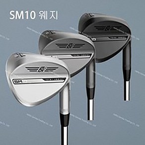 패턴 골프 아이언 Sm10 골프 클럽 웨지 보키 웨지용 스틸 골프 아이언 48 50 52 54 56 58 60 62 도, 그레이, 48도