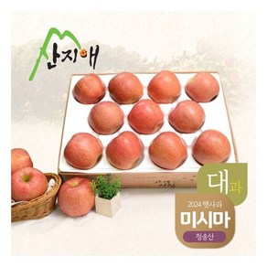 알뜰사과 미시마대과 4kg11에서16과, 1개