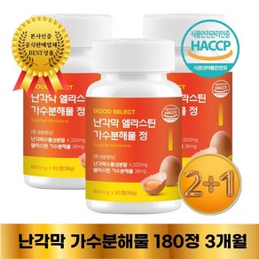 난각막 엘라스틴 가수분해물 이엠 600mg 식약처 인증 HACCP 2+1 굿셀, 3개, 60정