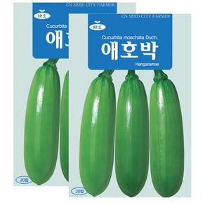 세인화분 애호박 20립 - 국산 호박씨 호박씨앗, 2개