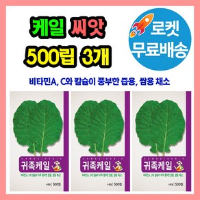 케일 씨앗 (합 1500립) 즙용 쌈채소용, 3개