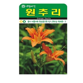 SN월드 야생화 씨앗 꽃씨앗 모음, 1개