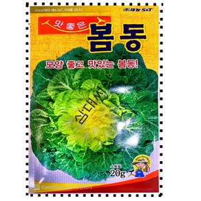 맛좋은 봄동 씨 봄동배추씨앗 종자 20g 제농