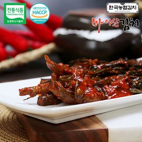 한국농협김치 국산 재료 100% 전북 진안 마이산 고들빼기 1kg, 1개