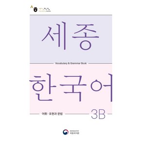 세종한국어 3B 어휘 표현과 문법(Sejong Korean Vocabulary and Grammar 3B)