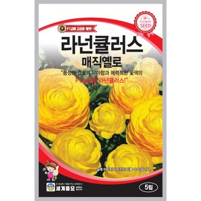 라넌큘러스(매직옐로) 5립 세계종묘 라넌큘러스(매직옐로) 꽃씨앗, 1개