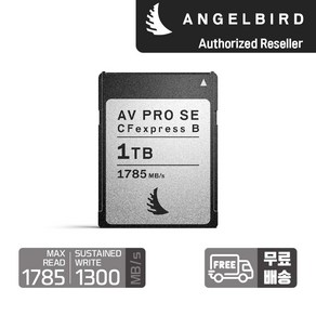 엔젤버드 AV PRO CFexpess Type B SE 1 TB, 1개