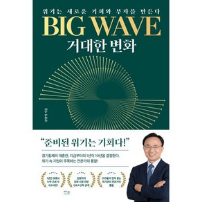 BIG WAVE 거대한 변화 : 위기는 새로운 기회와 부자를 만든다, 김영익 저, 베가북스