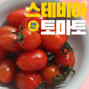 스테비아 방울토마토 토망코 스테비아토마토 500g 1kg 2kg 4kg, 2개, 스테비아 방울토마토 (500g) 2팩