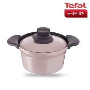 테팔 인덕션 트레져 IH 찌개냄비, 20cm, 1개