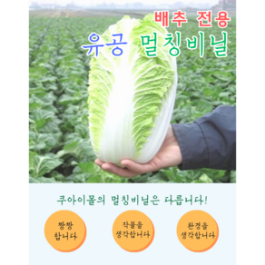 배추 전용 유공 구멍 뚫린 멀칭 비닐, 1개, 0.015x90x500 흑색2구 간격48x48 지그재그