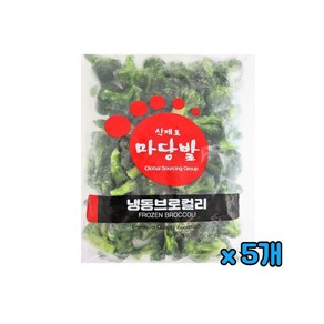 마당발 냉동 브로컬리, 5개, 1kg