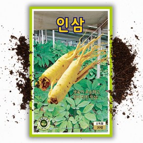 토종 인삼씨앗 (20립), 1개