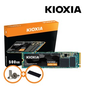 키오시아 EXCERIA G2 M.2 NVMeTM SSD + NVMe 방열판