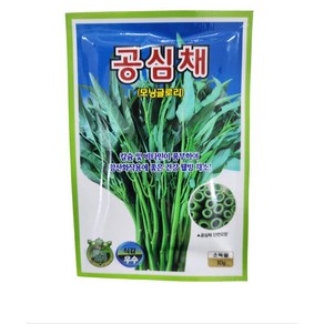 공심채씨앗 10g Impoea aquatica Forsk 모닝글로리