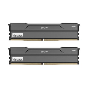 ESSENCORE ESSENCORE KLEVV DDR5-6400 CL32 BOLT V 패키지 서린 (32GB(16Gx2)), 2개